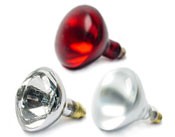 Infrared Heat Lamps